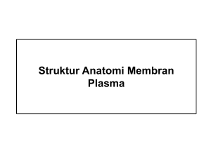 Struktur Anatomi Membran Plasma
