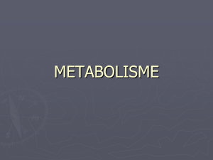 metabolisme - WordPress.com