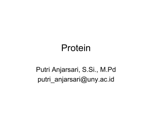 Protein - Staff UNY