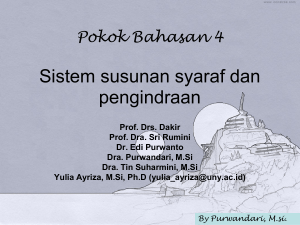 Sistem susunan syaraf dan pengindraan