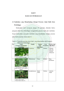 BAB IV HASIL DAN PEMBAHASAN 4.1 Tumbuhan yang