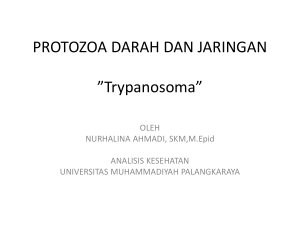 Trypanosoma - Universitas Muhammadiyah Palangkaraya