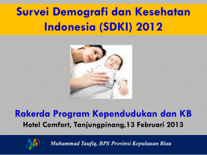 survei demografi dan kesehatan indonesia, provinsi kepulauan riau