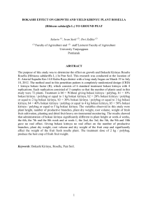 BOKASHI EFFECT ON GROWTH AND YIELD KIRINYU PLANT
