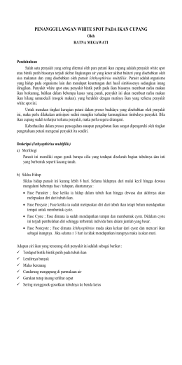 TESTING DAN IMPLEMENTASI SISTEM