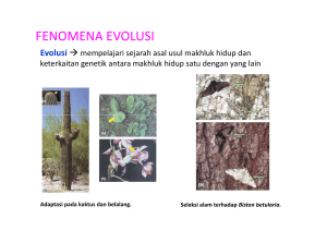 fenomena evolusi - SMAN 78 Jakarta
