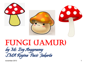 fungi (jamur) - Pendidikan Karakter