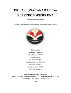 ISOLASI DNA dan ELEKTROFORESIS DNA