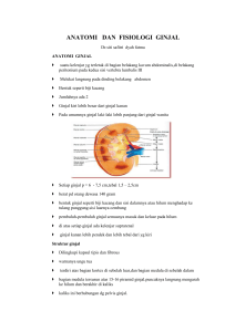 ANATOMI DAN FISIOLOGI GINJAL eediitt