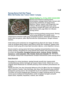 Sarang Semut Asli Dari Papua Bikin Sel Kanker dan Tumor Cabut