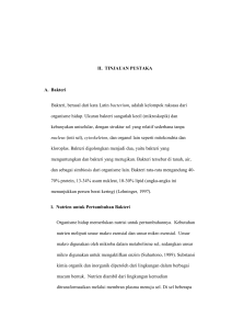 4 II. TINJAUAN PUSTAKA A. Bakteri Bakteri, berasal dari kata Latin