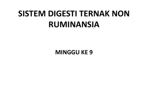 sistem digesti ternak non ruminansia