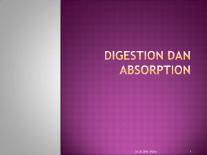 digestion dan absorption