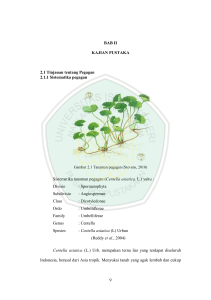 9 BAB II KAJIAN PUSTAKA 2.1 Tinjauan tentang Pegagan 2.1.1