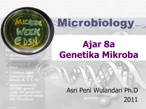 Genetika Mikroba, WHY??