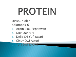 protein - WordPress.com