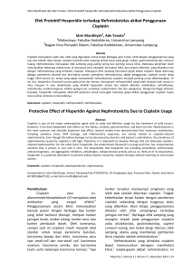 Efek Protektif Hesperidin terhadap Nefrotoksisitas akibat