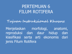 01-Rotifera