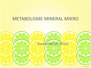 metab mineral mikro