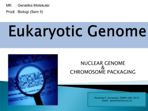 BAB VII Eukaryotic Genome