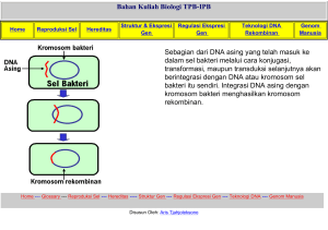 Bahan Kuliah Biologi TPB-IPB Sebagian dari DNA asing