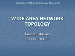 wide area network topology