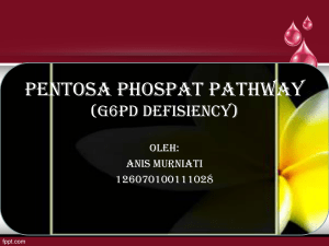 PENTOSA PHOSPAT PATHWAY (G6PD DEFISIENCY)
