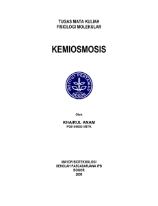 KEMIOSMOSIS