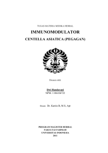 immunomodulator centella asiatica (pegagan)