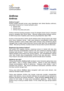 Anthrax - the NSW Multicultural Health Communication Service