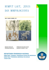 Rumput Laut Danjenis Morfologinya - e