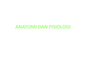 anatomi dan fisiologi