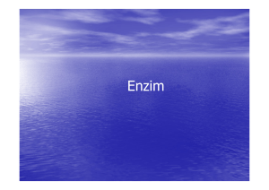 Enzim