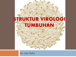 kuliah-3_struktur-virologi-tumbuhan
