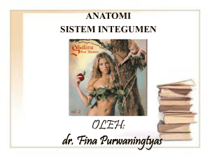 14-anatomi-sistem