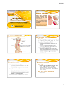 MENINGITIS (Radang Selaput Otak)