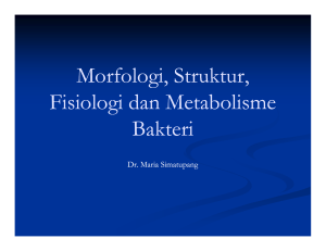 Morfologi Struktur Morfologi, Struktur, Fisiologi dan