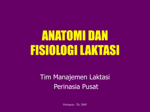 ANATOMI DAN FISIOLOGI LAKTASI