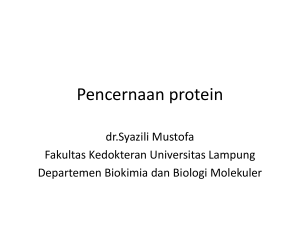Pencernaan protein