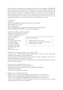 Rangkuman UAS Biologi – Protista bagian Protozoa