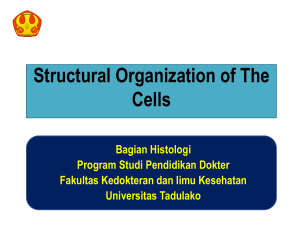 1. struktural oragnization of the cell