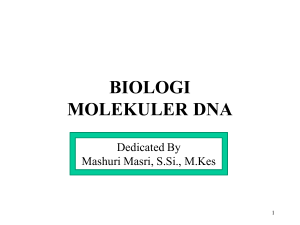 biologi molekuler dna - Biologi UIN Alauddin Makassar