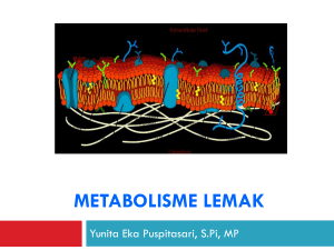 Metabolisme lemak