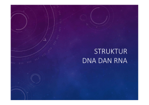 STRUKTUR DNA DAN RNA