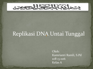 Bahan genetik Replikasi DNA atau RNA ketelitian