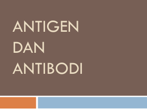 antigen dan antibodi