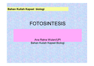 fotosintesis