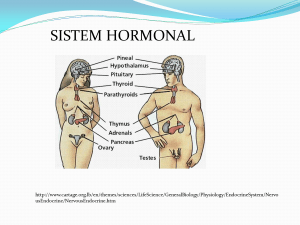 sistem hormonal