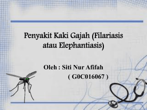 Penyakit Kaki Gajah (Filariasis atau Elephantiasis)