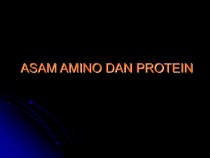 ASAM AMINO DAN PROTEIN